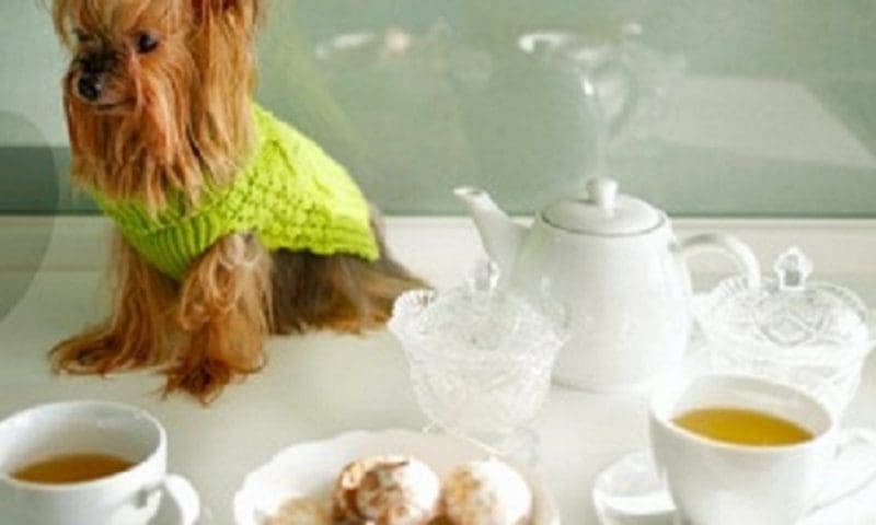 Afternoon tea