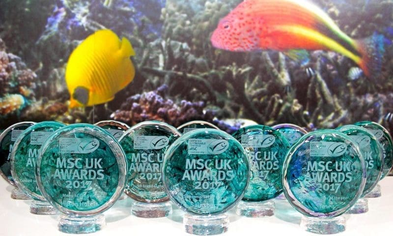 MSC Awards