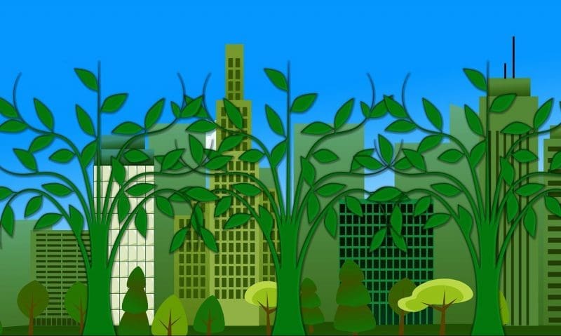 The environmentally friendly hotel
