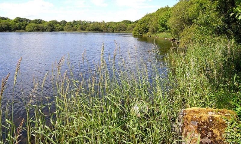 Lusty Beg Island