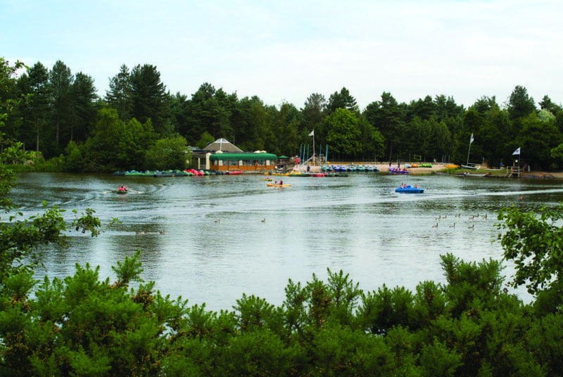 The Pig owners in the running for Center Parcs