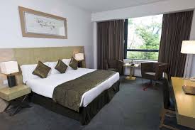 Cardiff Park Plaza Hotel goes plastic-free this Christmas