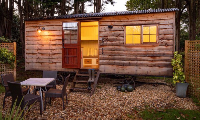 The Spot in the Woods reopens in New Forest
