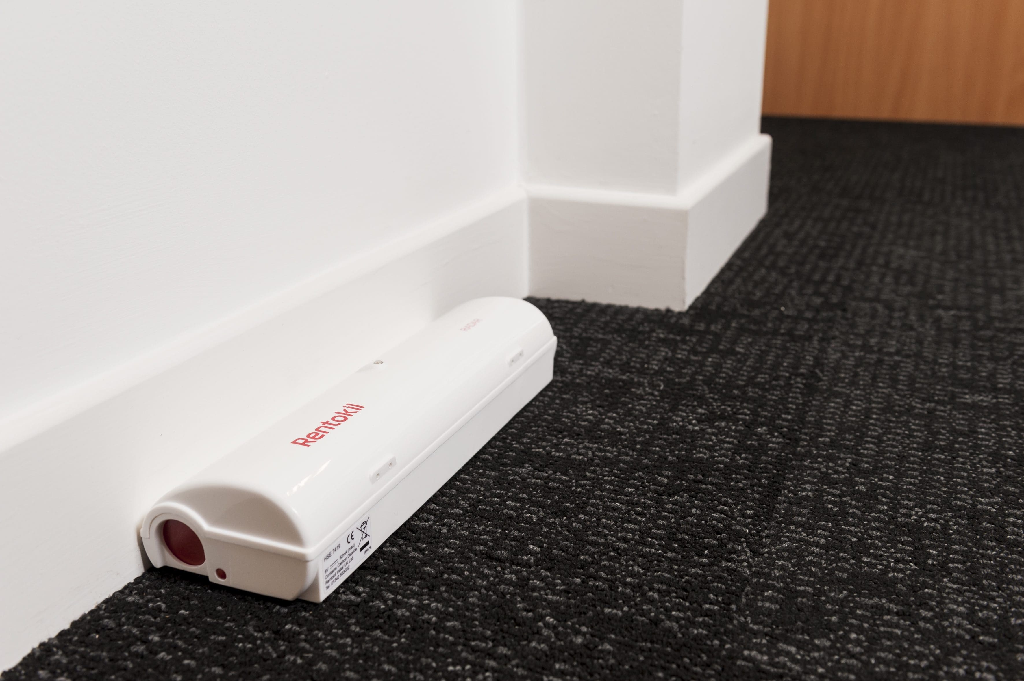 Why technology is key to rat-proofing your hotel this winter