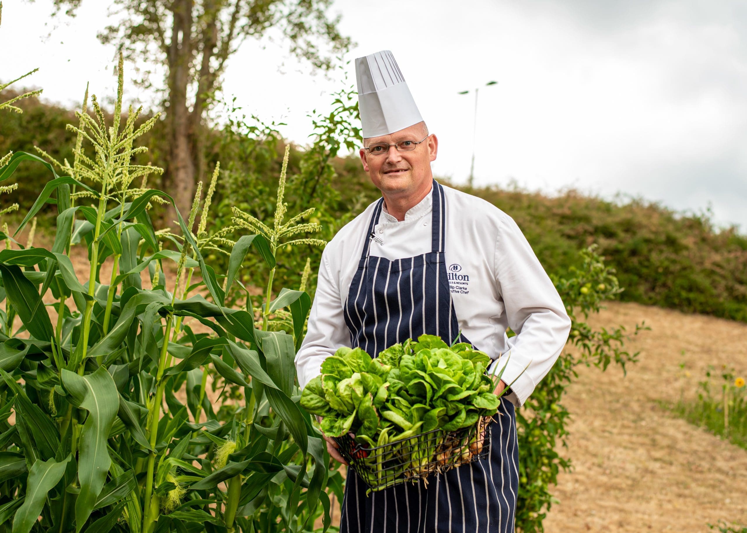 Beehives and hotel-grown vegetables: Hilton Heathrow Q&A