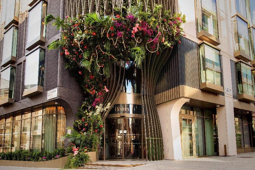 Hilton adds The BoTree to Curio Collection