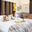 Provenance reshuffles leadership after selling three venues